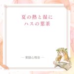 夏の暑邪や湿を整えるハスの葉茶の薬膳的な使い方